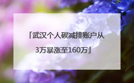 武汉个人碳减排账户从3万暴涨至160万