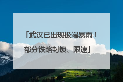 武汉已出现极端暴雨！部分铁路封锁、限速