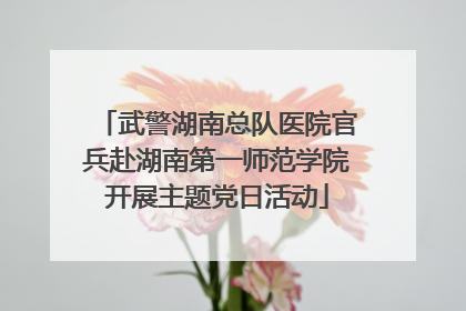 武警湖南总队医院官兵赴湖南第一师范学院开展主题党日活动