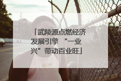 武陵源点燃经济发展引擎 “一业兴”带动百业旺