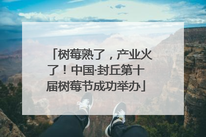 树莓熟了，产业火了！中国·封丘第十届树莓节成功举办