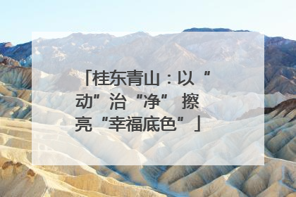 桂东青山：以“动”治“净” 擦亮“幸福底色”