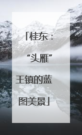 桂东：“头雁”王镇的蓝图美景