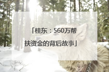 桂东：560万帮扶资金的背后故事