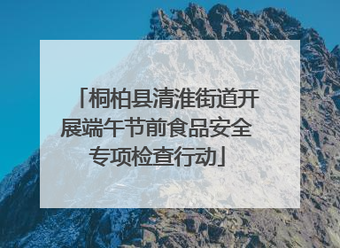 桐柏县清淮街道开展端午节前食品安全专项检查行动