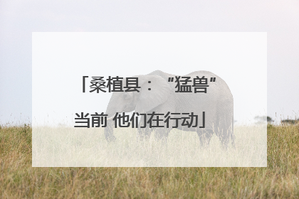 桑植县：“猛兽”当前 他们在行动