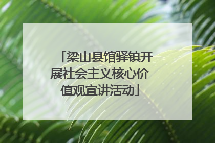 梁山县馆驿镇开展社会主义核心价值观宣讲活动