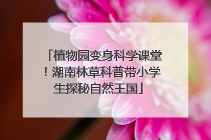 植物园变身科学课堂！湖南林草科普带小学生探秘自然王国
