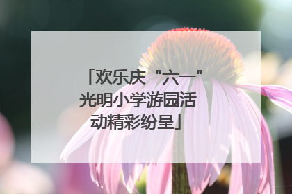 欢乐庆“六一” 光明小学游园活动精彩纷呈