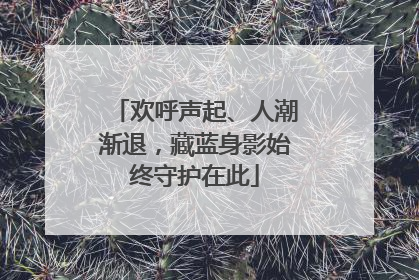 欢呼声起、人潮渐退，藏蓝身影始终守护在此