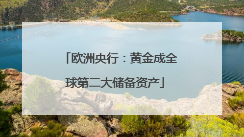 欧洲央行：黄金成全球第二大储备资产