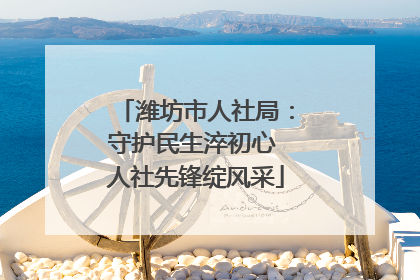 潍坊市人社局：守护民生淬初心 人社先锋绽风采