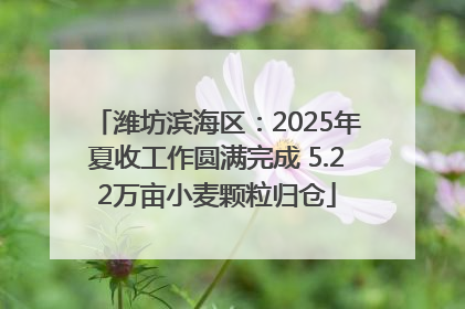 潍坊滨海区：2025年夏收工作圆满完成 5.22万亩小麦颗粒归仓