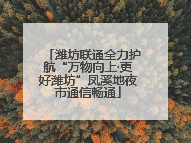 潍坊联通全力护航“万物向上·更好潍坊”凤溪地夜市通信畅通