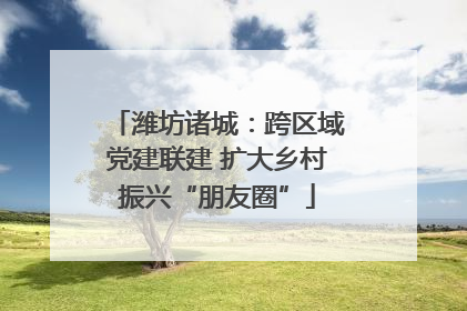 潍坊诸城：跨区域党建联建 扩大乡村振兴“朋友圈”