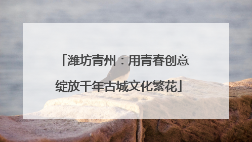 潍坊青州：用青春创意绽放千年古城文化繁花