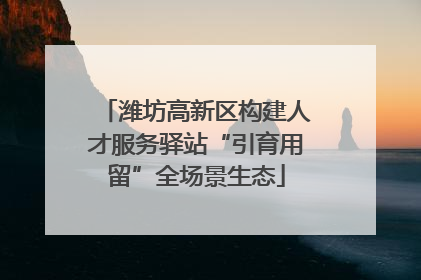 潍坊高新区构建人才服务驿站“引育用留”全场景生态