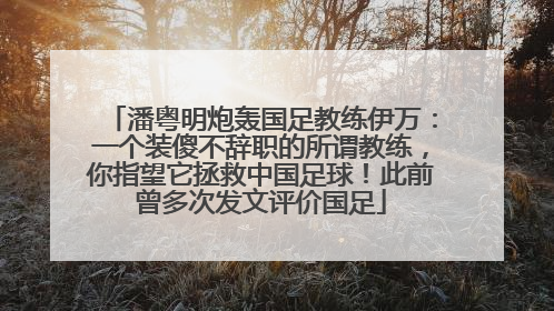 潘粤明炮轰国足教练伊万：一个装傻不辞职的所谓教练，你指望它拯救中国足球！此前曾多次发文评价国足