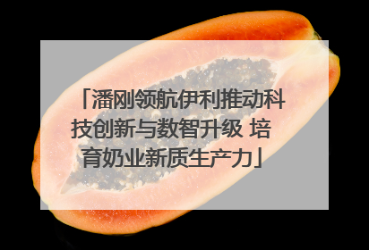 潘刚领航伊利推动科技创新与数智升级 培育奶业新质生产力