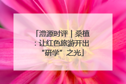 澧源时评｜桑植：让红色旅游开出“研学”之光
