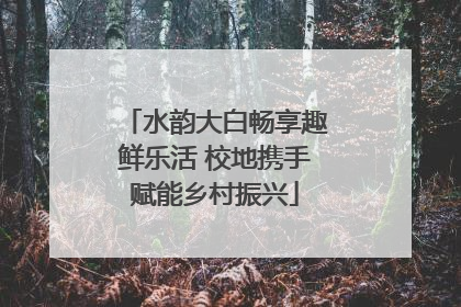 水韵大白畅享趣鲜乐活 校地携手赋能乡村振兴