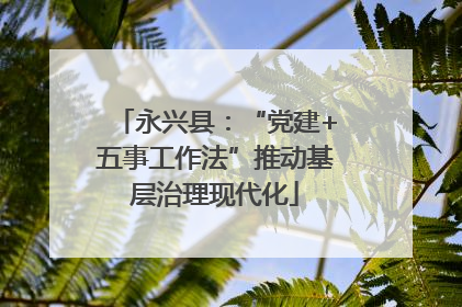 永兴县：“党建+五事工作法”推动基层治理现代化