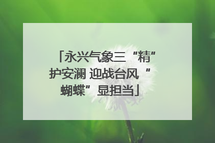 永兴气象三“精”护安澜 迎战台风“蝴蝶”显担当