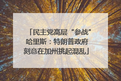 民主党高层“参战” 哈里斯：特朗普政府刻意在加州挑起混乱