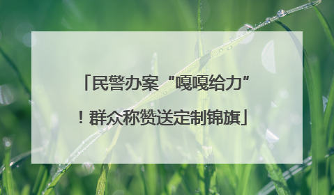 民警办案“嘎嘎给力”！群众称赞送定制锦旗