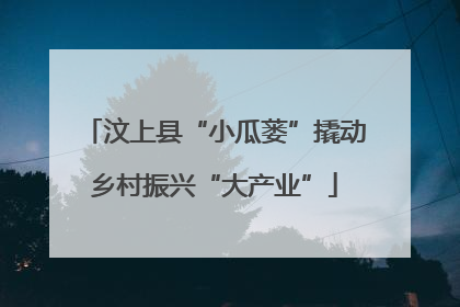 汶上县“小瓜蒌”撬动乡村振兴“大产业”