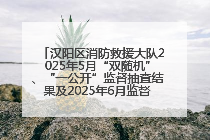 汉阳区消防救援大队2025年5月“双随机”、“一公开”监督抽查结果及2025年6月监督抽查任务公示