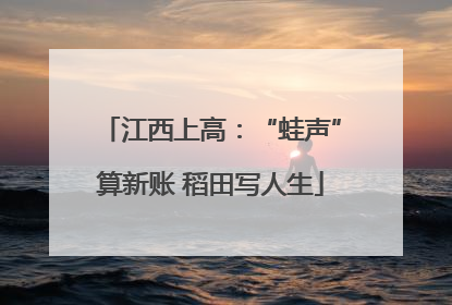 江西上高：“蛙声”算新账 稻田写人生