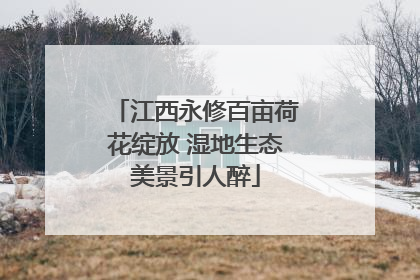 江西永修百亩荷花绽放 湿地生态美景引人醉