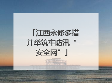 江西永修多措并举筑牢防汛“安全网”
