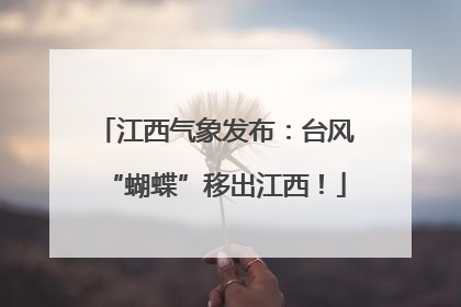 江西气象发布：台风“蝴蝶”移出江西！