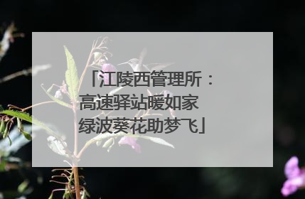 江陵西管理所：高速驿站暖如家 绿波葵花助梦飞