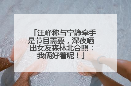 汪峰称与宁静牵手是节目需要，深夜晒出女友森林北合照：我俩好着呢！