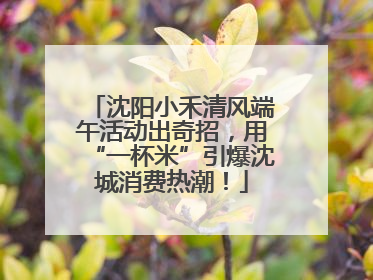 沈阳小禾清风端午活动出奇招，用“一杯米”引爆沈城消费热潮！