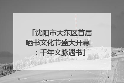 沈阳市大东区首届晒书文化节盛大开幕：千年文脉遇书