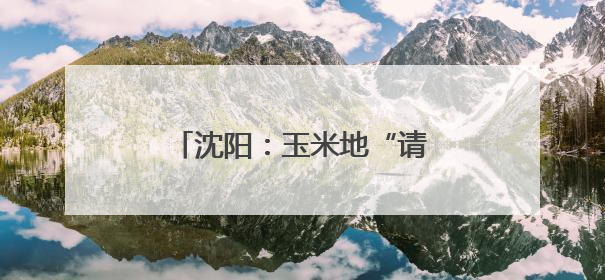 沈阳：玉米地“请”来赤眼蜂 科技赋能农业助绿色增产