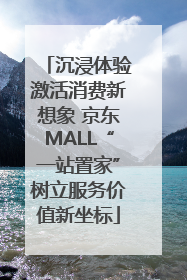 沉浸体验激活消费新想象 京东MALL“一站置家”树立服务价值新坐标