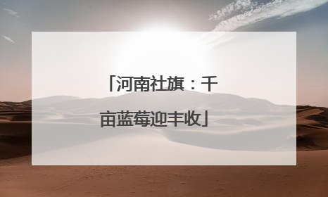 河南社旗：千亩蓝莓迎丰收