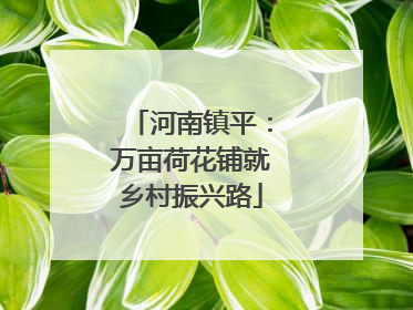 河南镇平：万亩荷花铺就乡村振兴路
