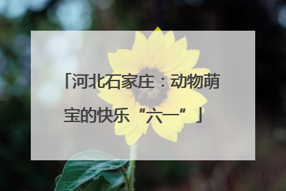 河北石家庄：动物萌宝的快乐“六一”