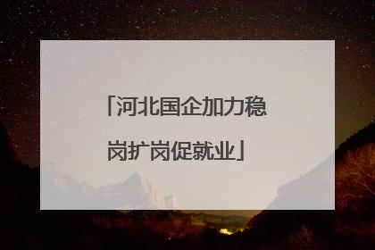 河北国企加力稳岗扩岗促就业