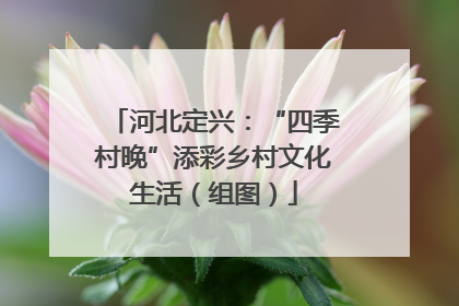 河北定兴：“四季村晚”添彩乡村文化生活（组图）