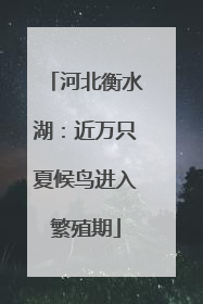 河北衡水湖：近万只夏候鸟进入繁殖期
