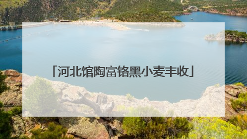 河北馆陶富铬黑小麦丰收