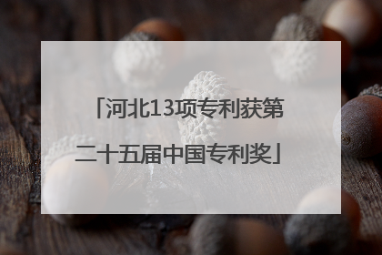 河北13项专利获第二十五届中国专利奖