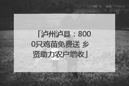 泸州泸县：8000只鸡苗免费送 乡贤助力农户增收